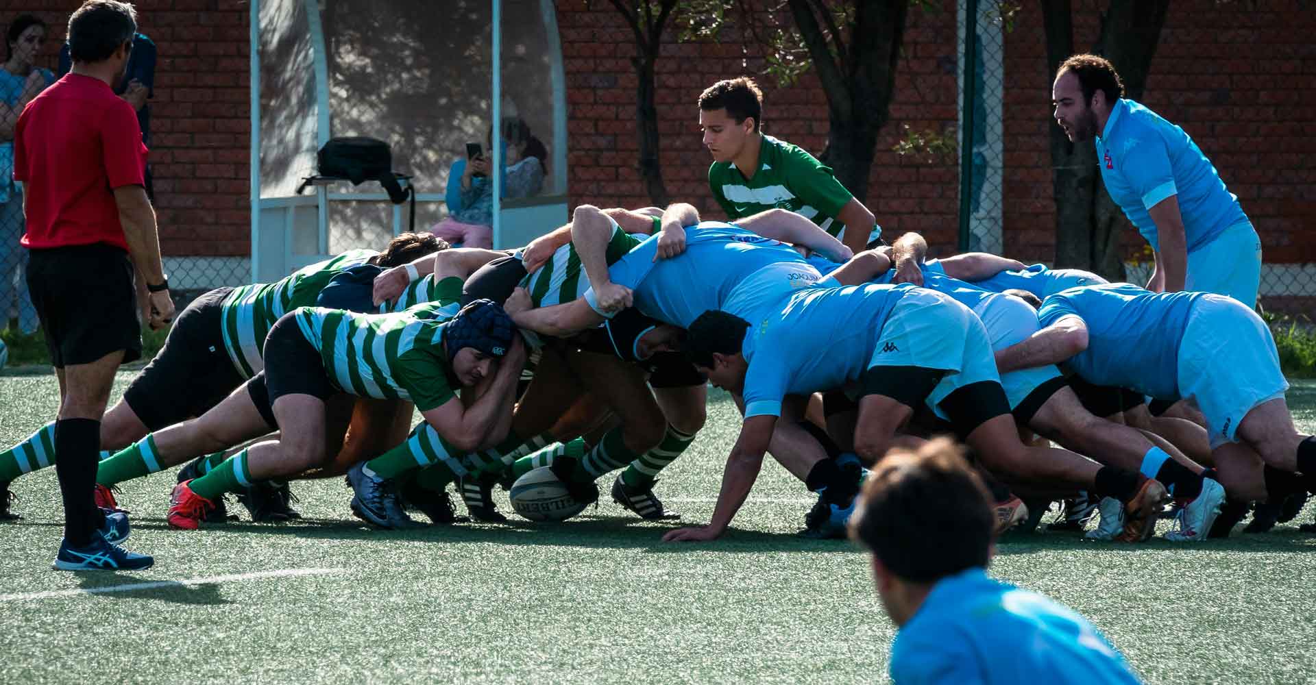 Squadre sportive